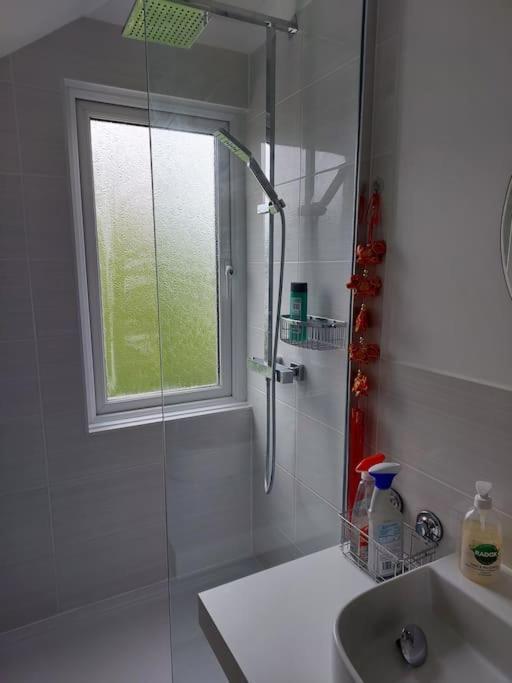 Double Room With Ensuite Shower Room In Quiet, Private House Worthing Kültér fotó